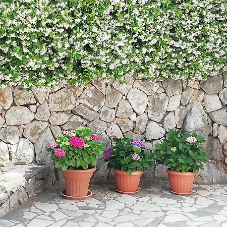 Villa Gromaca Omišalj Buitenkant foto